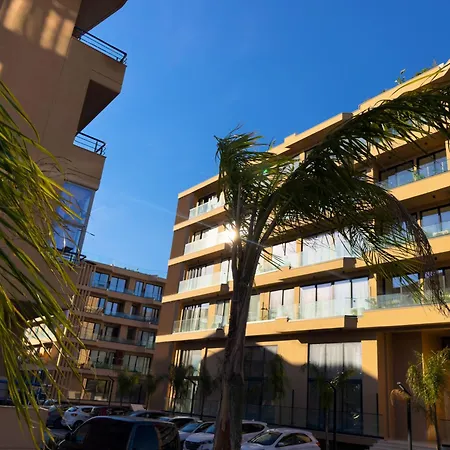 Armare - Palm Radhime Vlore