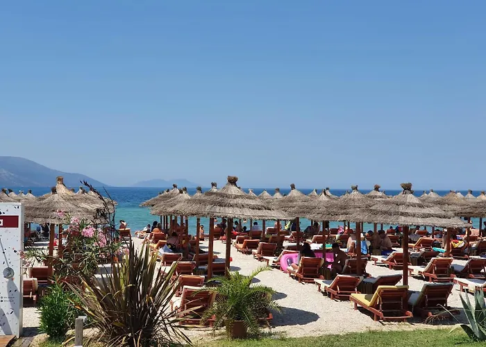 Armare - Palm Radhime *